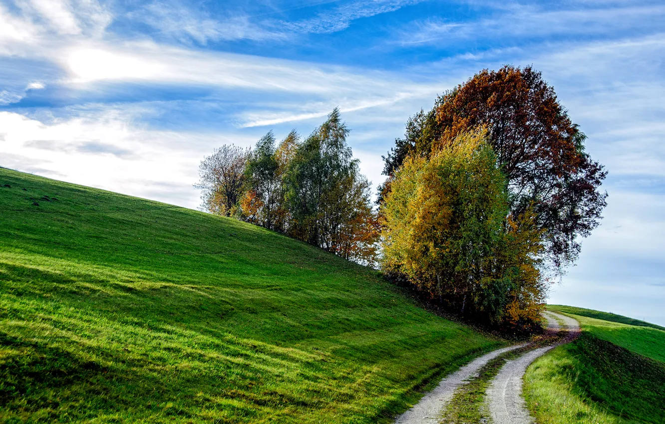 Photo wallpaper road, autumn, the sky, grass, trees, slope, hill