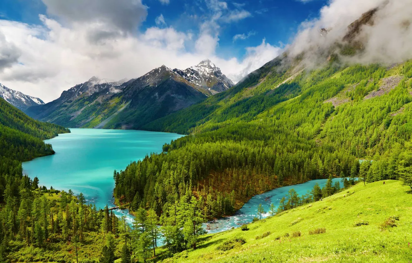 Photo wallpaper forest, mountains, lake