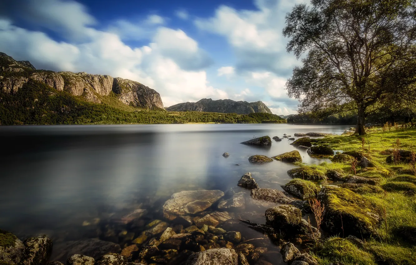 Photo wallpaper forest, grass, trees, mountains, river, stones, shore, moss