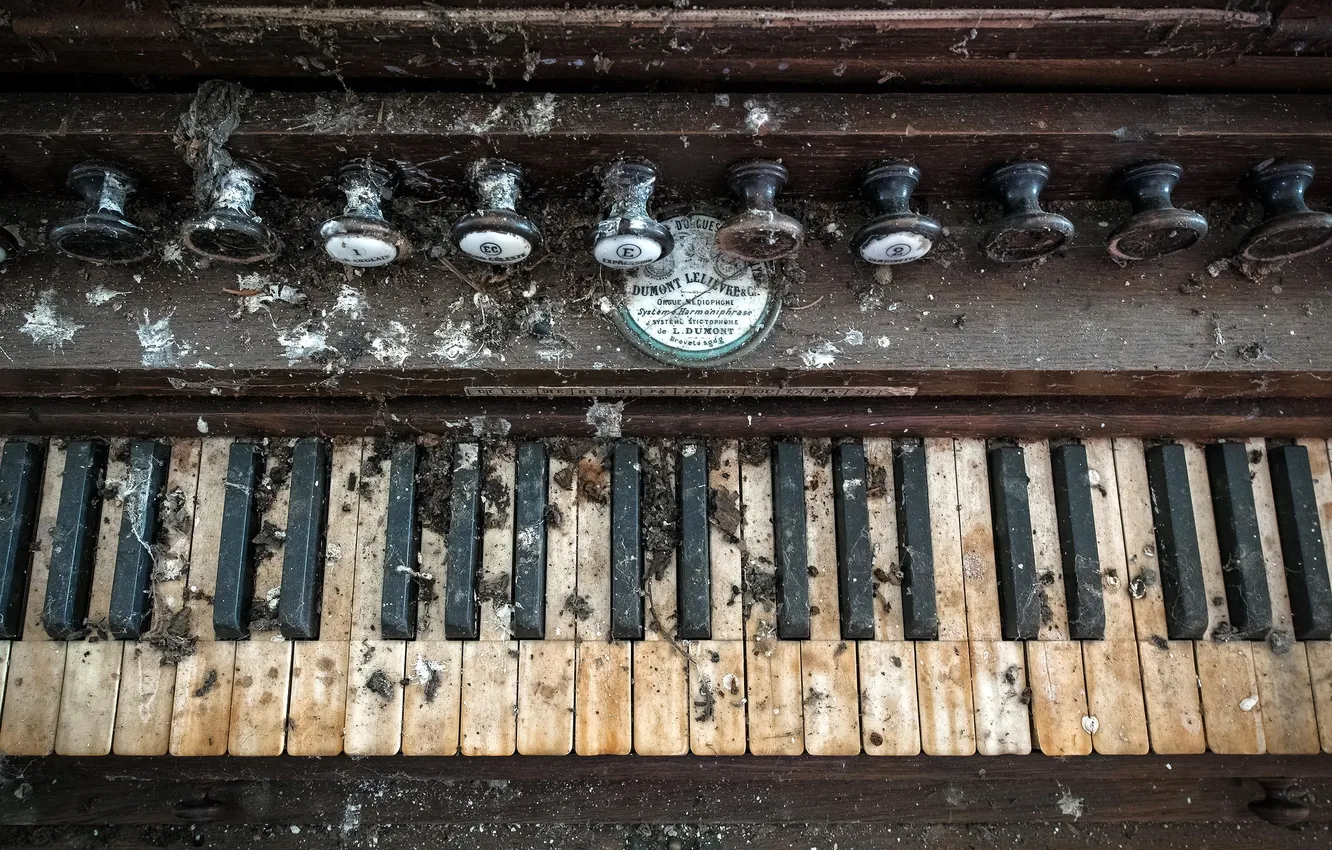 Photo wallpaper music, background, body