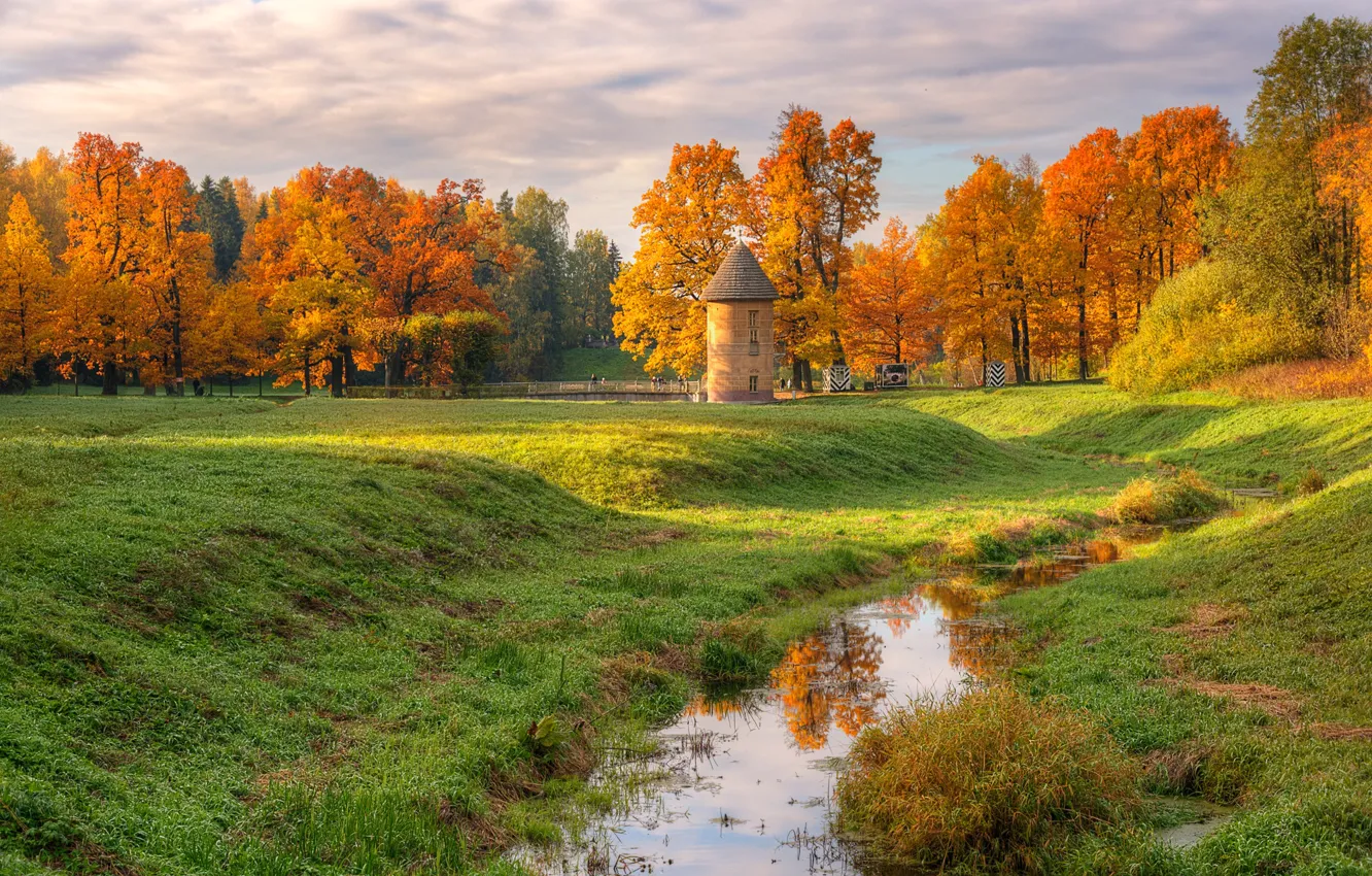 Photo wallpaper autumn, trees, nature, Park, photo, Saint Petersburg, Pavlovsk, Eduard Gordeev