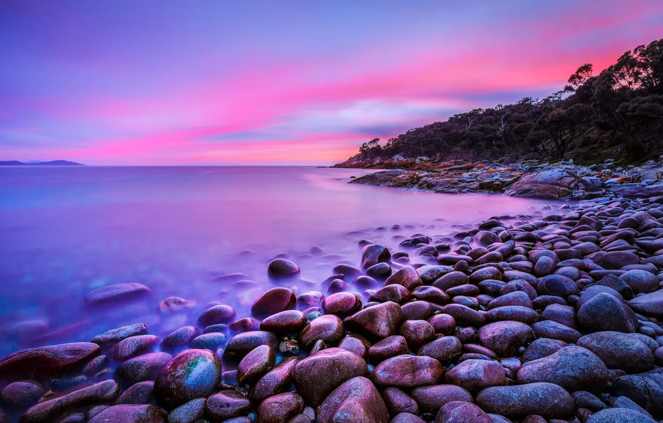 Photo wallpaper clouds, trees, sunset, stones, shore, the evening, pond, stones