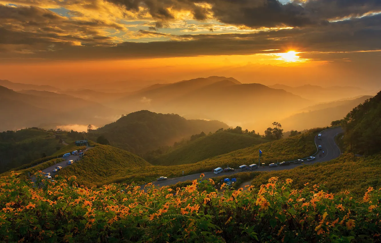 Photo wallpaper road, the sun, clouds, landscape, sunset, flowers, mountains, nature