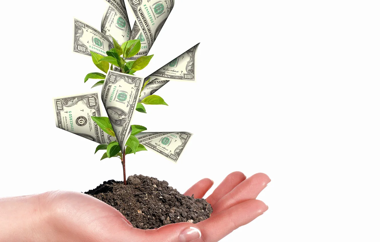 Photo wallpaper leaves, creative, earth, Rostock, money, humor, hands, white background