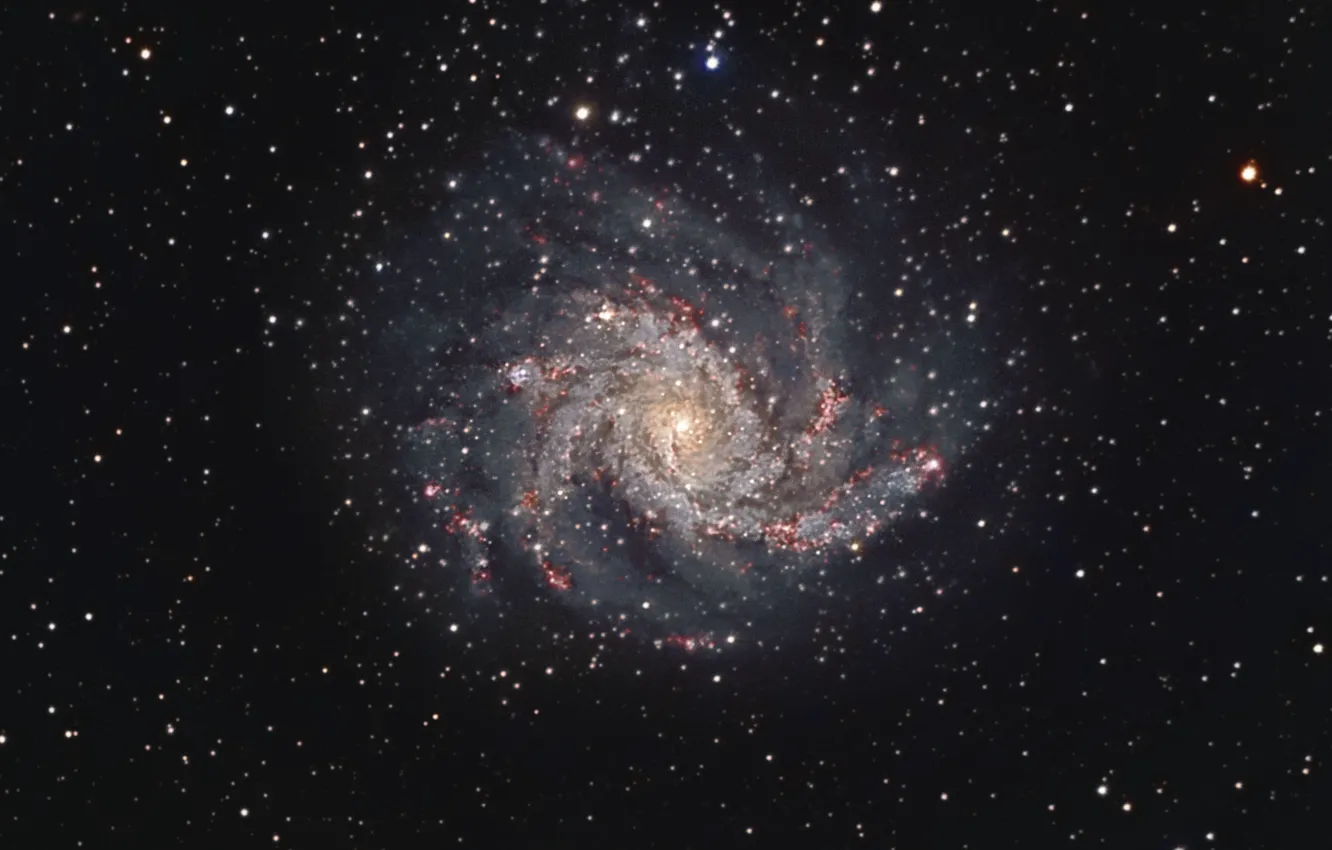 Photo wallpaper fireworks, swans, spiral galaxy, in the constellation