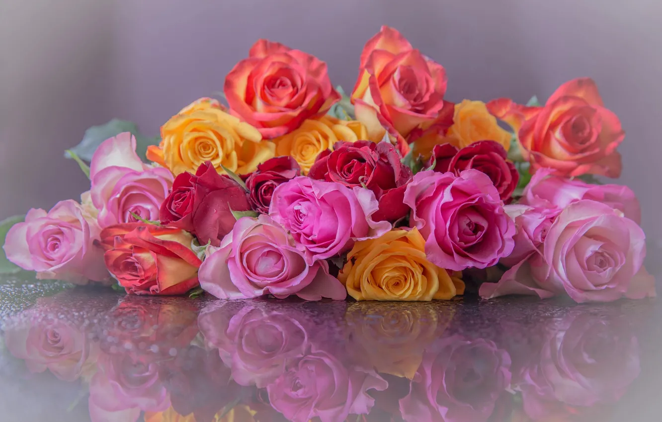 Photo wallpaper flowers, reflection, roses