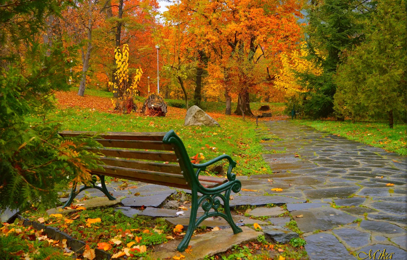 Photo wallpaper bench, autumn, fall