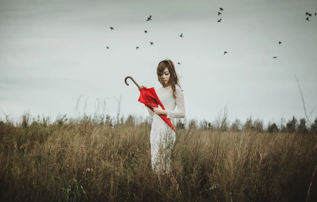 Photo wallpaper the storm, field, girl, bird, hair, dress, red umbrella, gray clouds