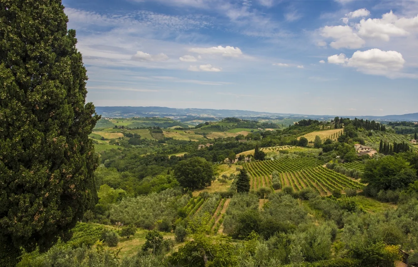 Photo wallpaper field, trees, landscape, Italy, panorama, Italy, Tuscany, Tuscany