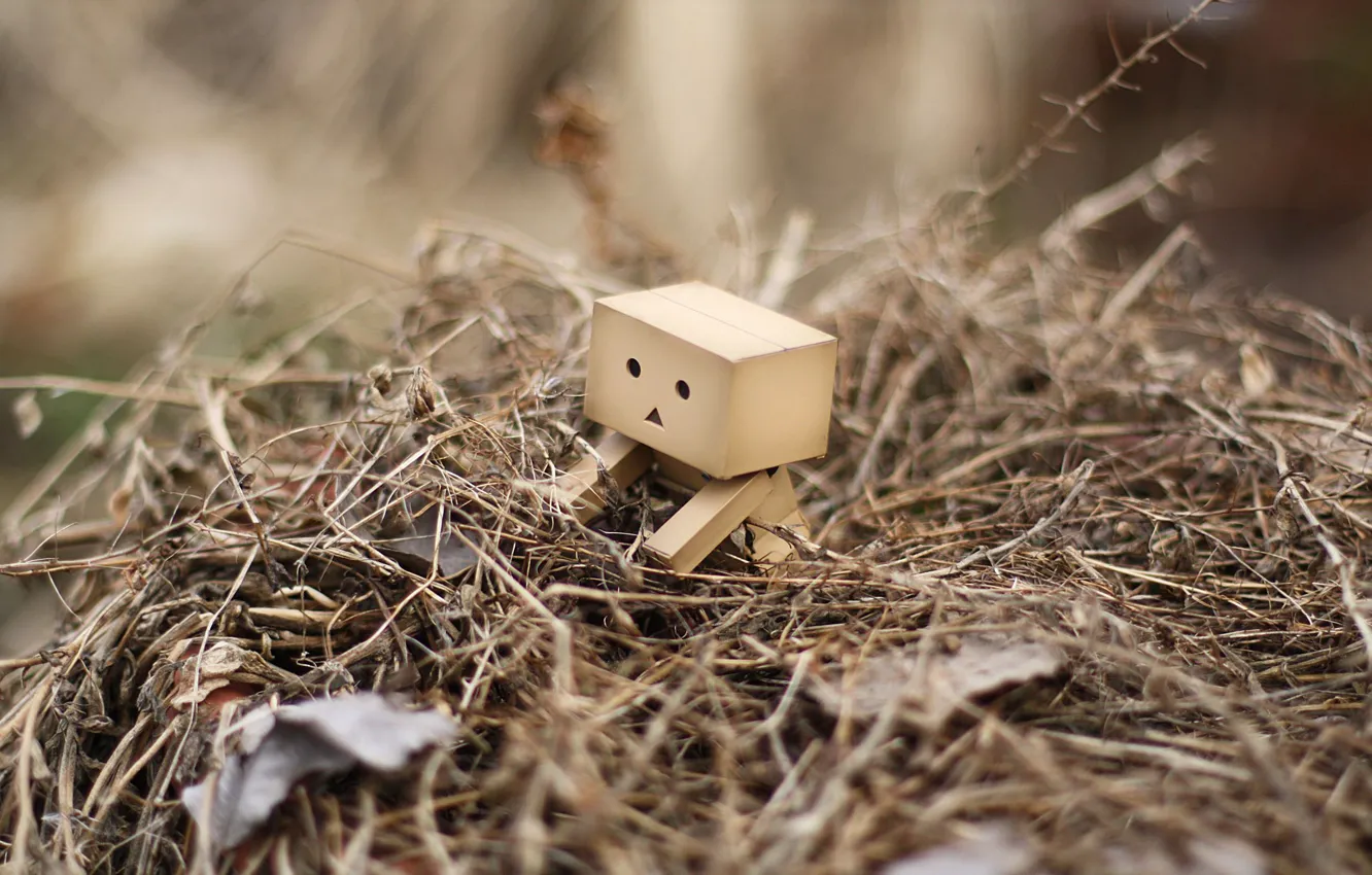 Photo wallpaper grass, leaves, robot, danbo, a bunch