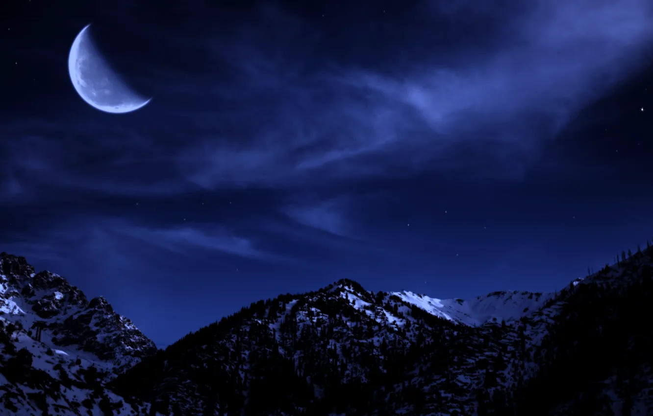 Photo wallpaper winter, forest, the sky, stars, snow, trees, mountains, night