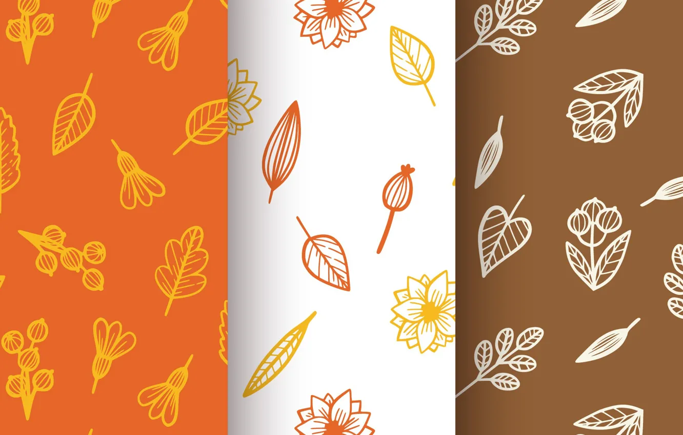 Photo wallpaper autumn, white, leaves, background, texture, kortney