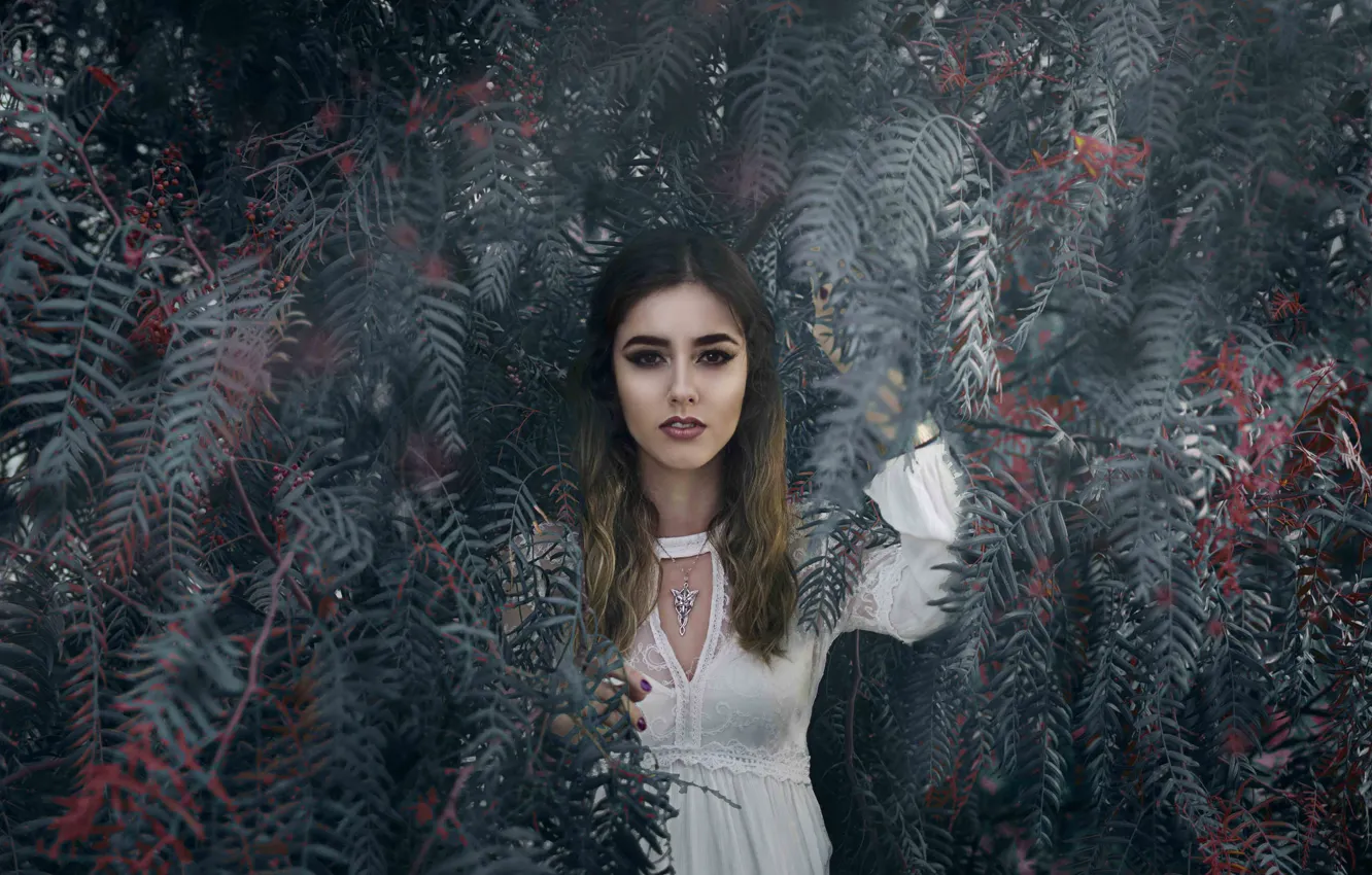 Photo wallpaper look, leaves, girl, branches, Anahi