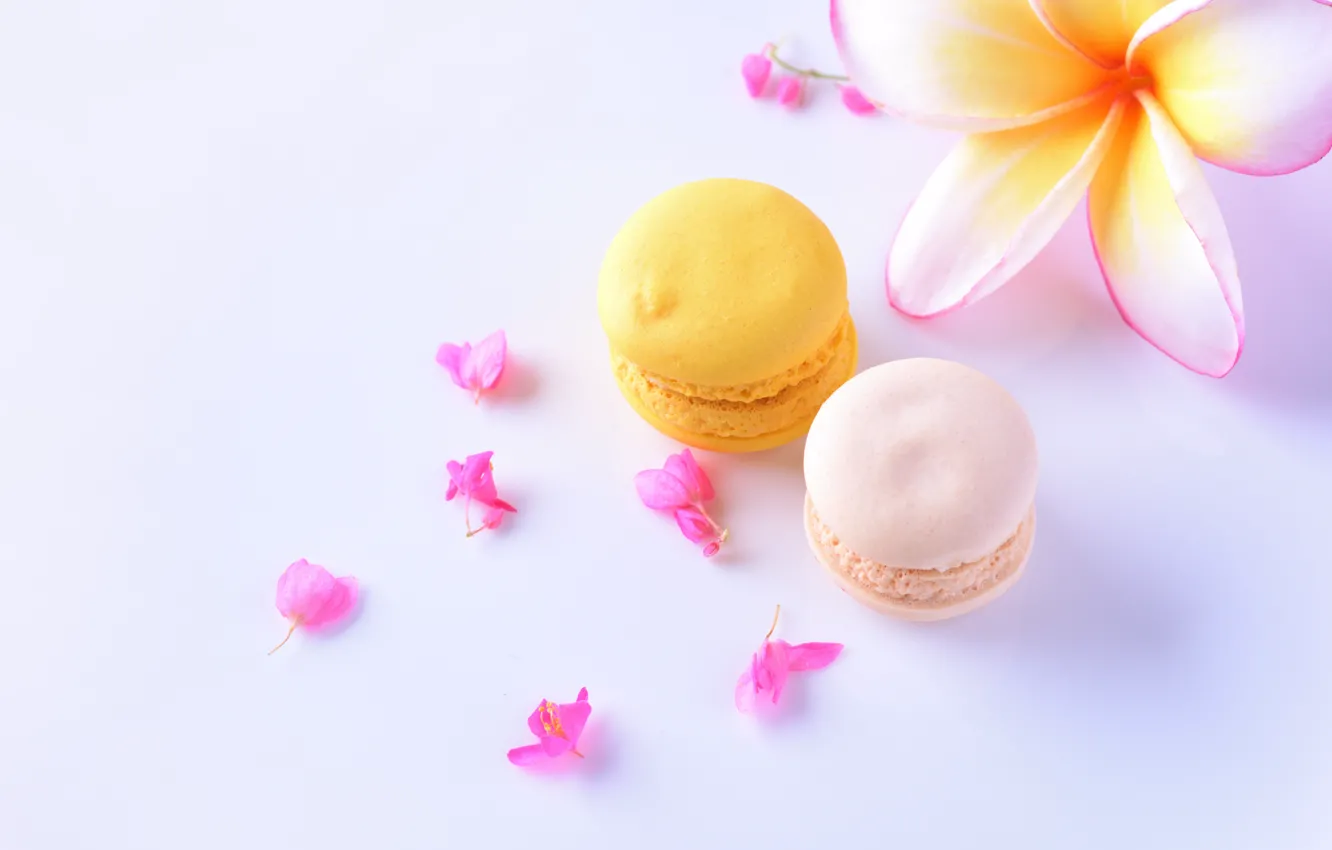 Photo wallpaper flowers, cake, pasta, plumeria