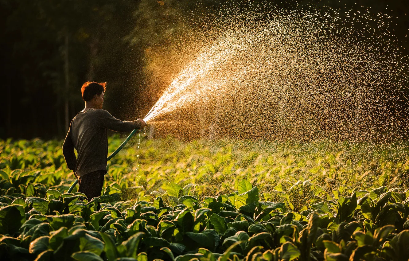 Photo wallpaper man, child, asian, villager