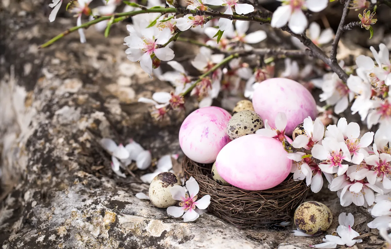 Photo wallpaper flowers, branches, holiday, eggs, Easter, socket
