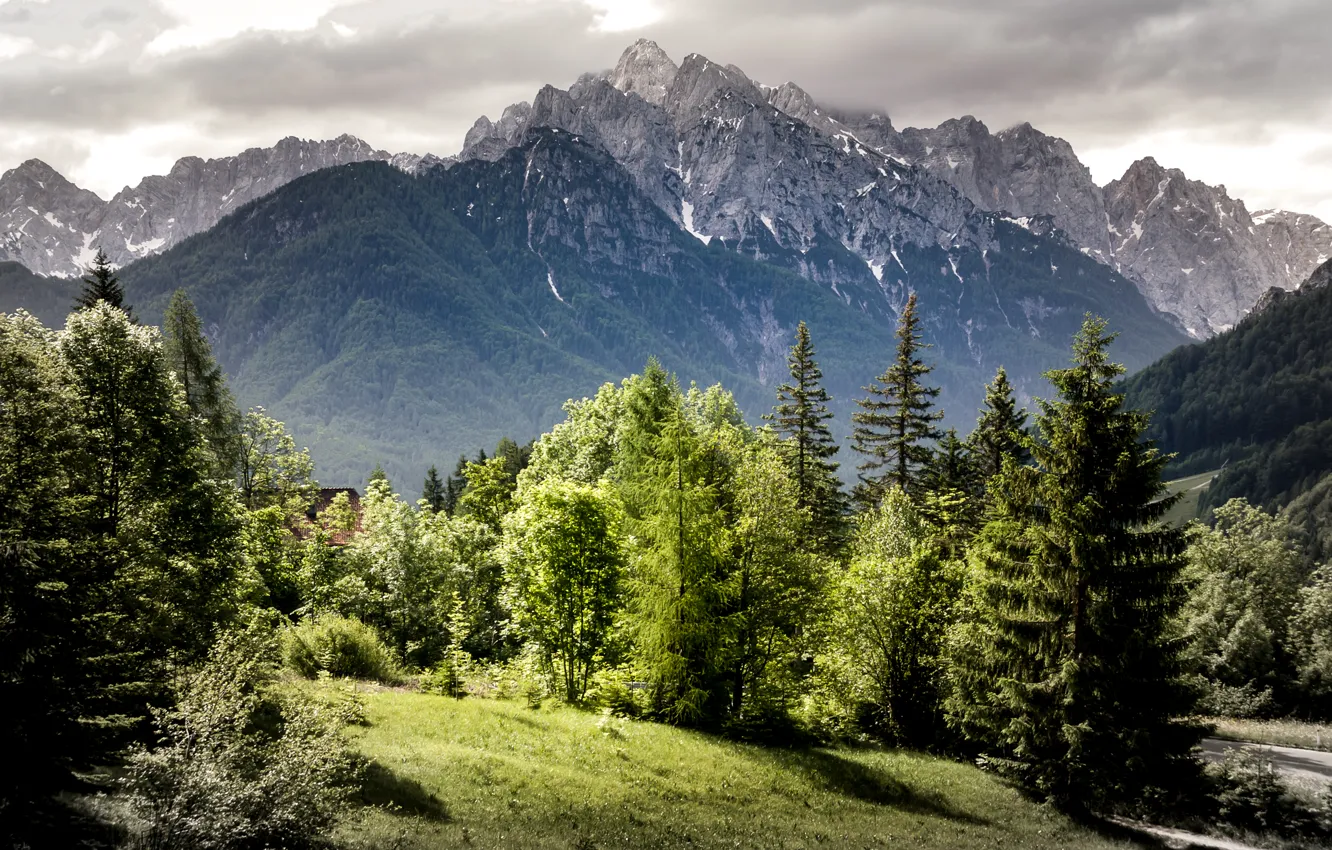 Photo wallpaper greens, forest, the sun, trees, mountains, rocks, Slovenia