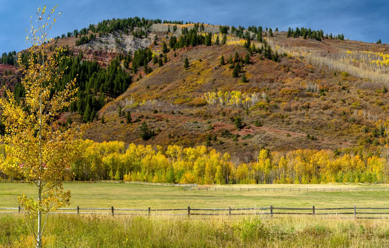 Photo wallpaper field, autumn, trees, mountain, panorama, USA, Sunny, fences