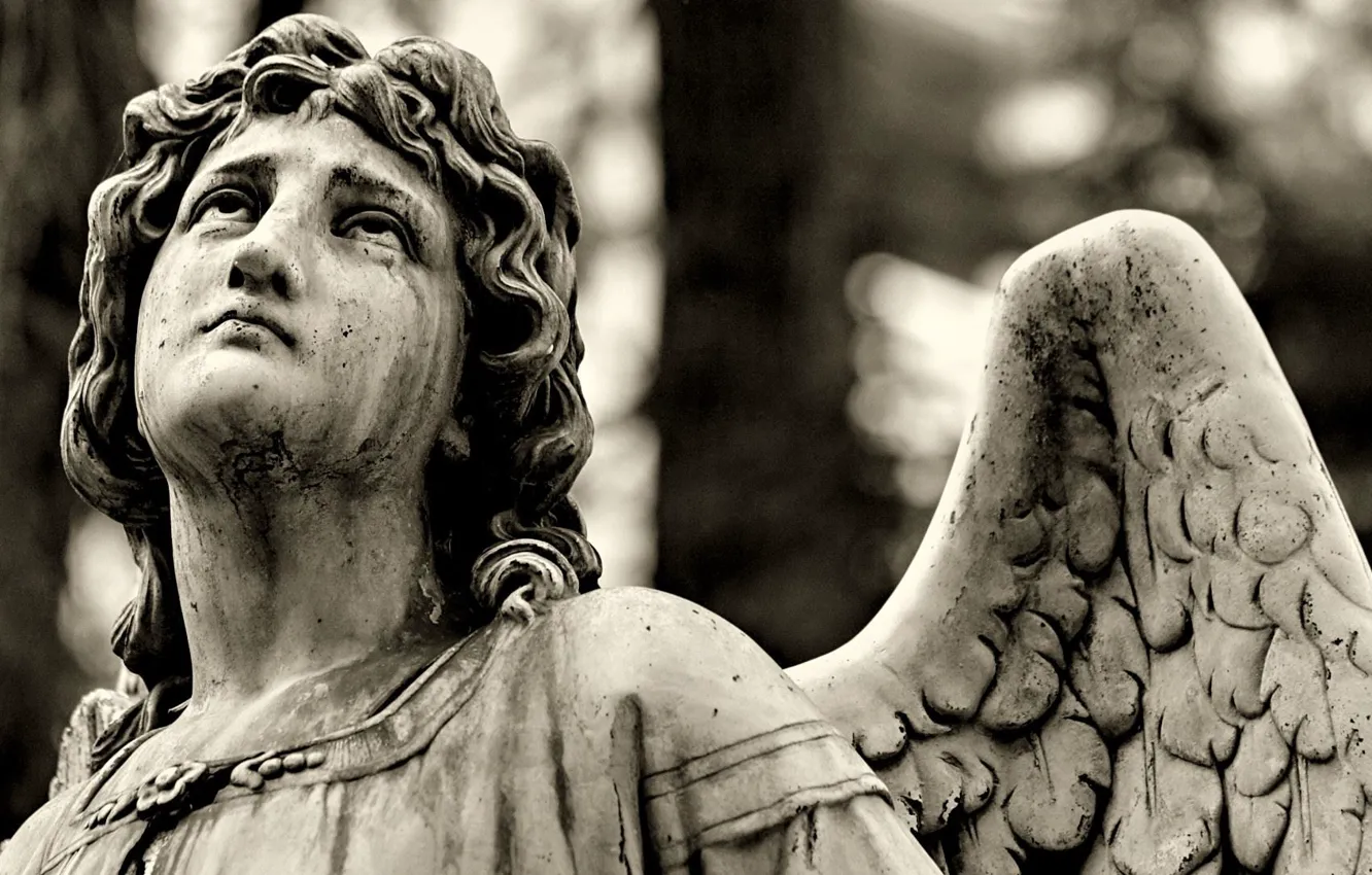 Photo wallpaper sadness, angel, statue, the gravestone