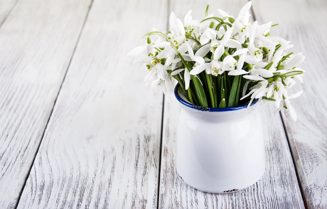 Photo wallpaper flowers, bouquet, snowdrops, white, white, flowers, spring, Snowdrops