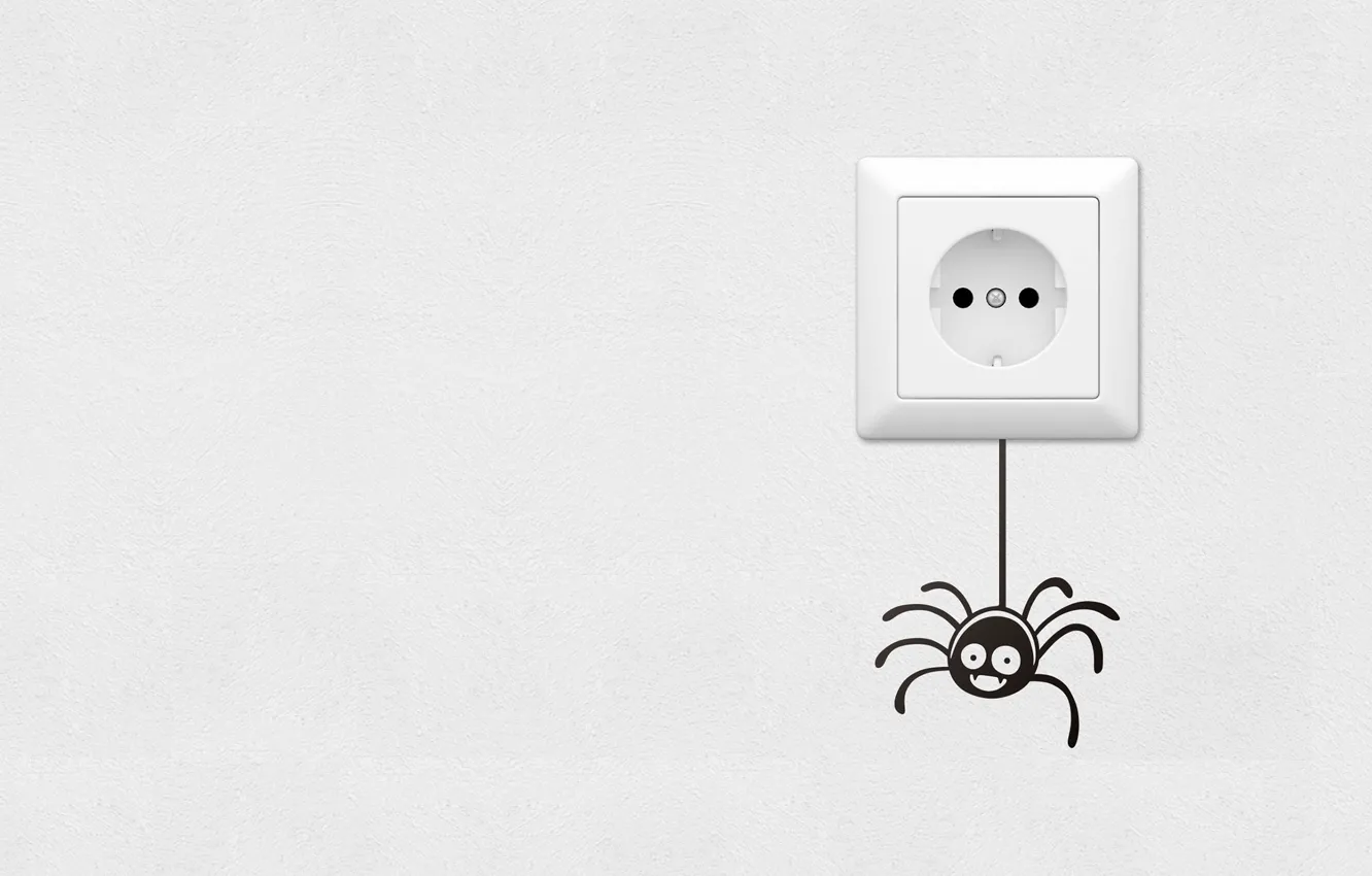 Photo wallpaper mood, art, outlet, spider