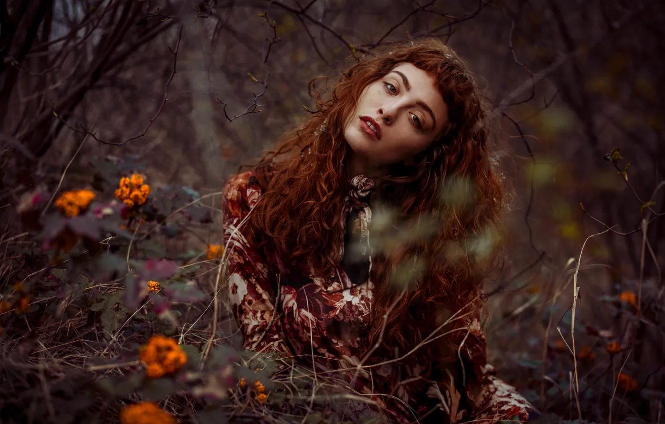 Photo wallpaper look, girl, nature, face, background, hair, brown hair