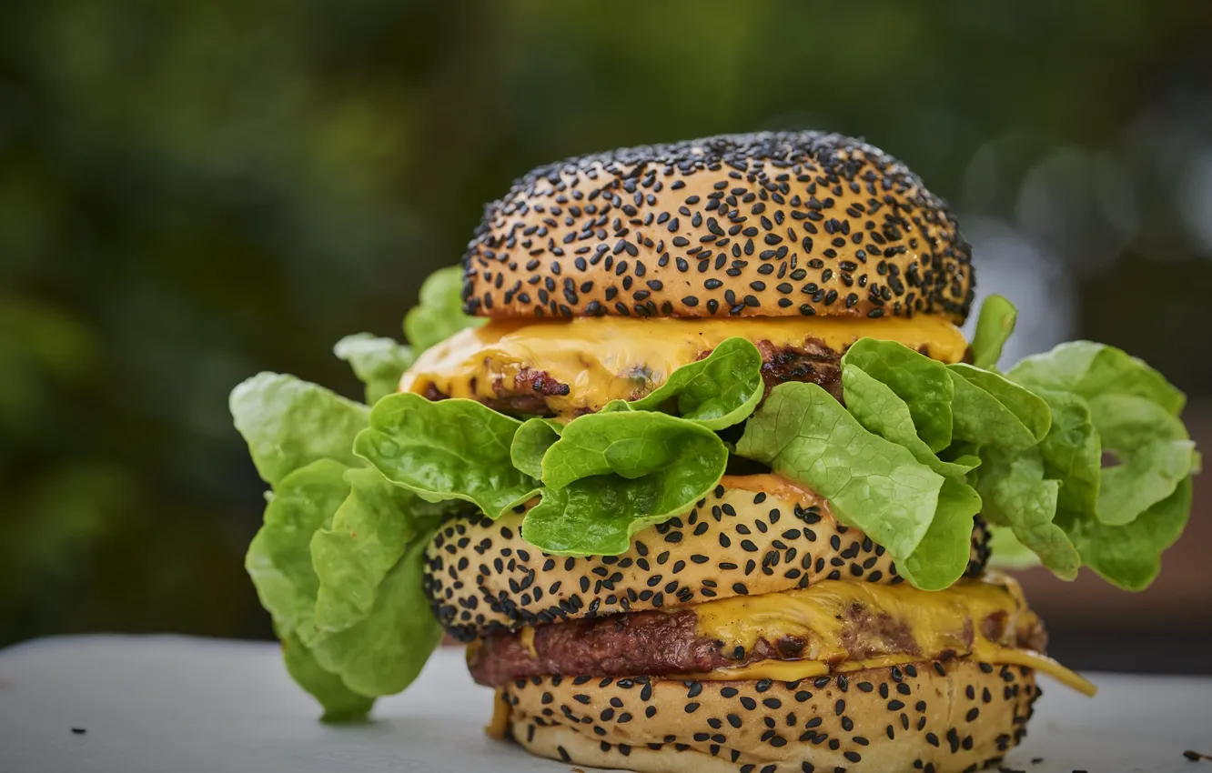 Photo wallpaper greens, roll, Burger