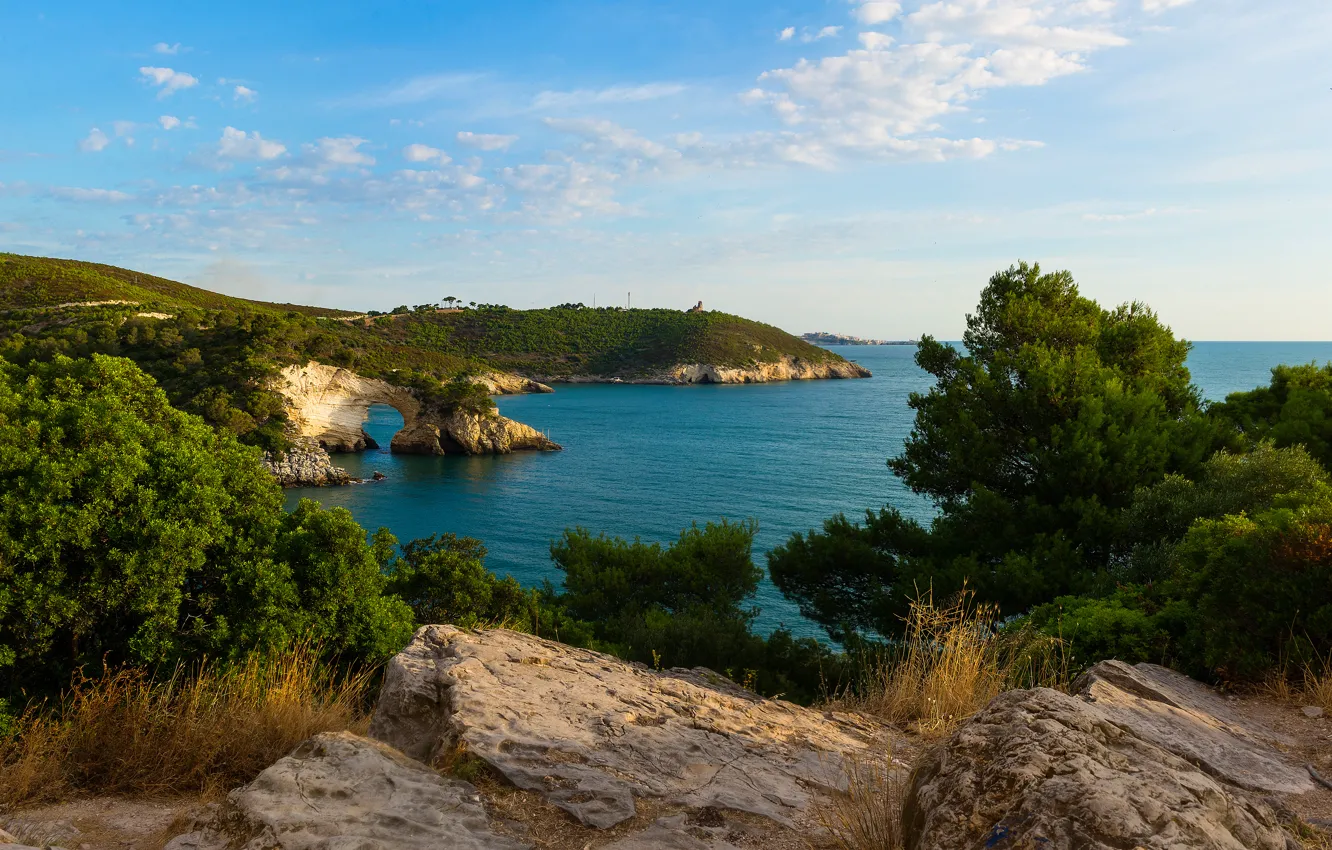 Photo wallpaper sea, the sky, trees, stones, rocks, coast, horizon, Italy