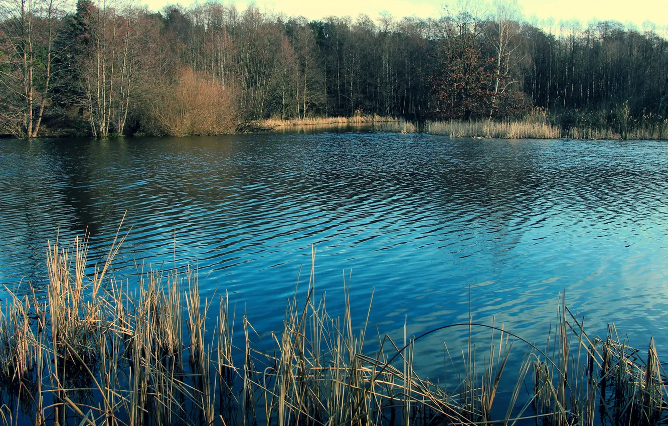 Photo wallpaper water, lake, pond
