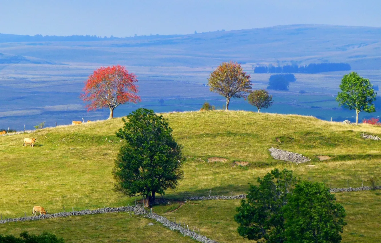wallpaper-autumn-trees-mountains-france-languedoc-roussillon