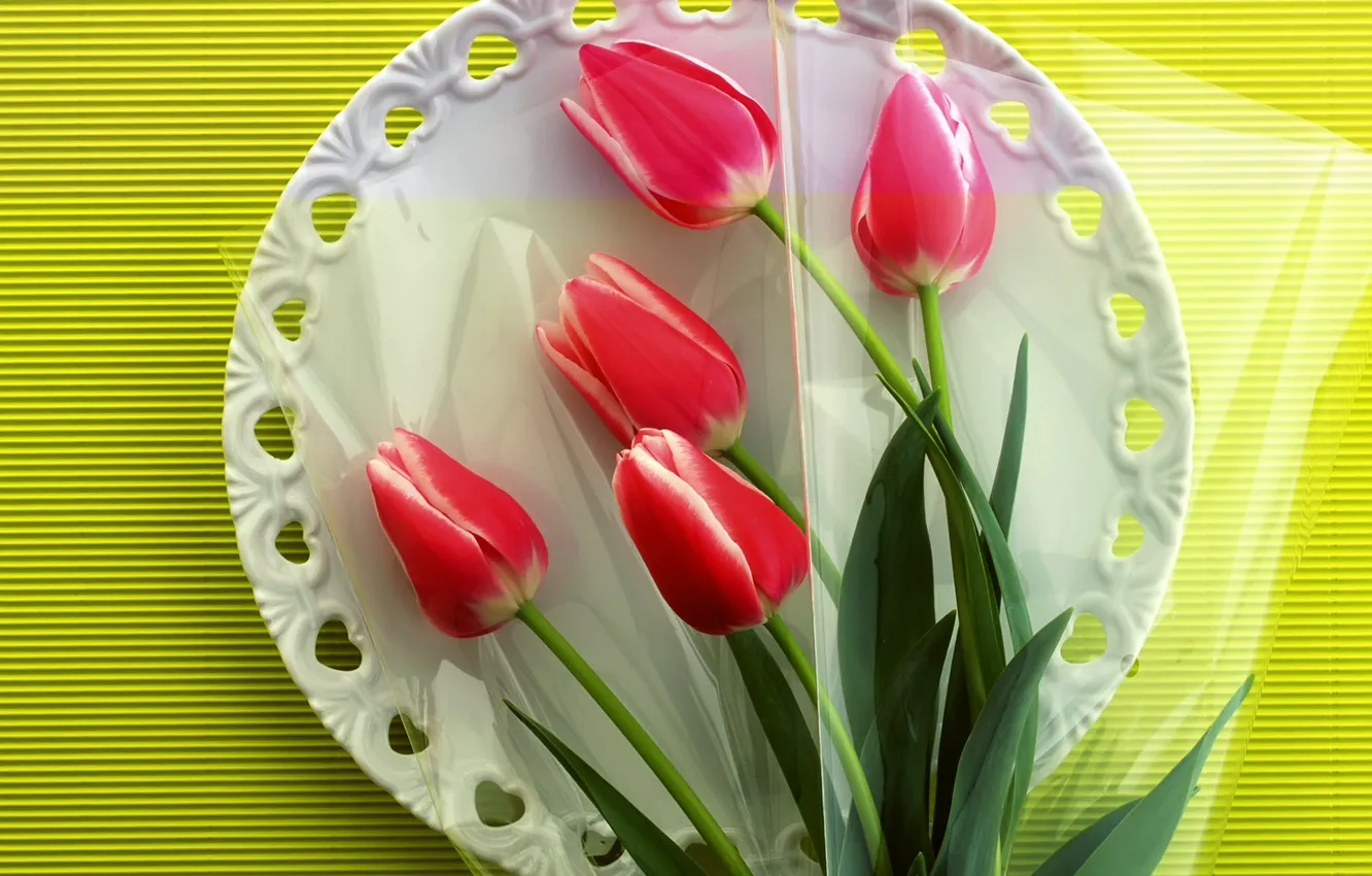 Photo wallpaper flowers, plate, tulips, still life, tablecloth