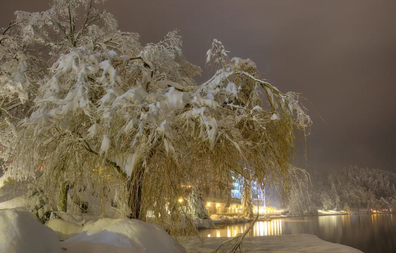 Photo wallpaper winter, snow, trees, night, lights, fog, lake, lights