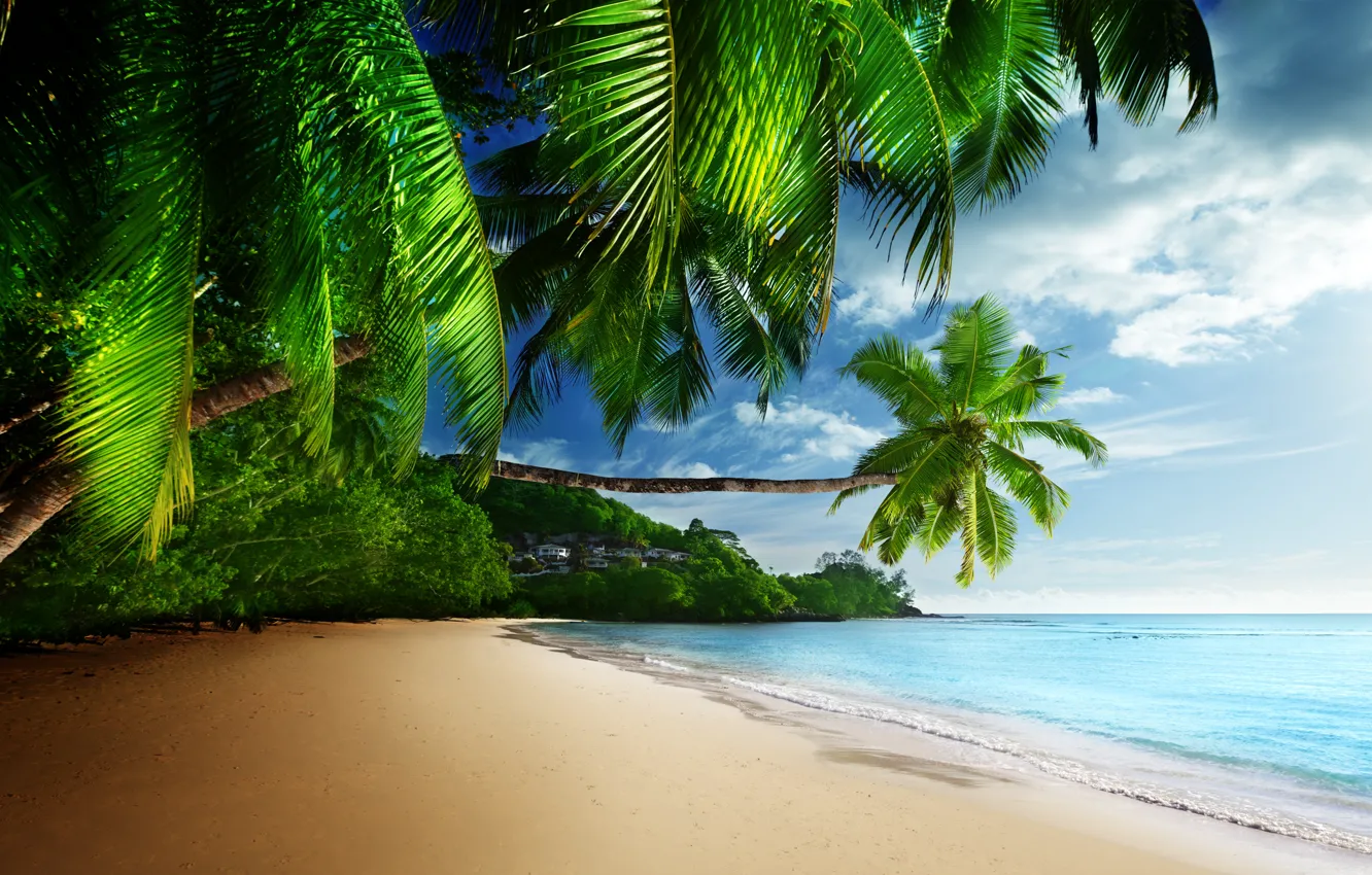 Photo wallpaper sand, sea, beach, the sky, the sun, tropics, palm trees, the ocean