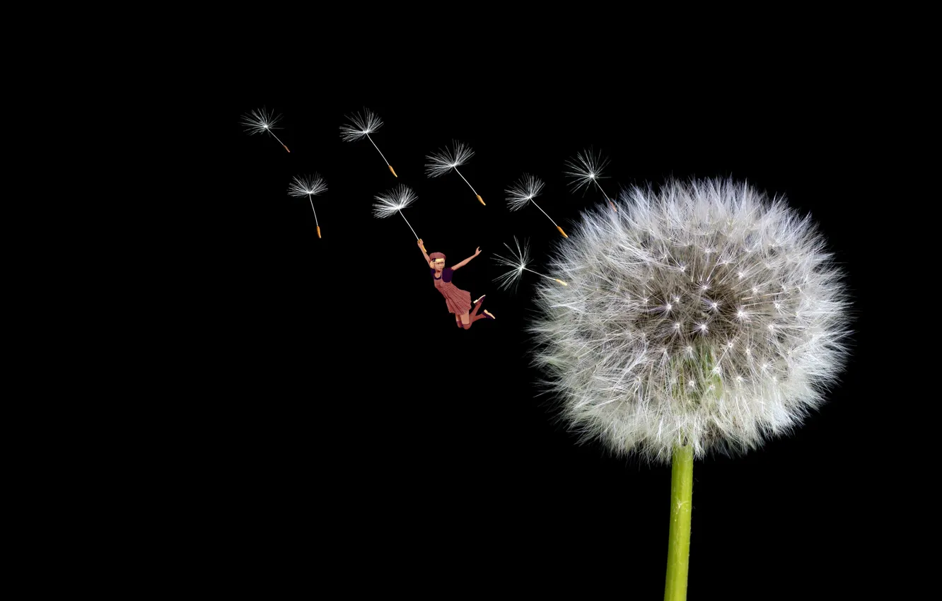 Photo wallpaper macro, flight, fantasy, dandelion, seeds, girl, fantasy, black background