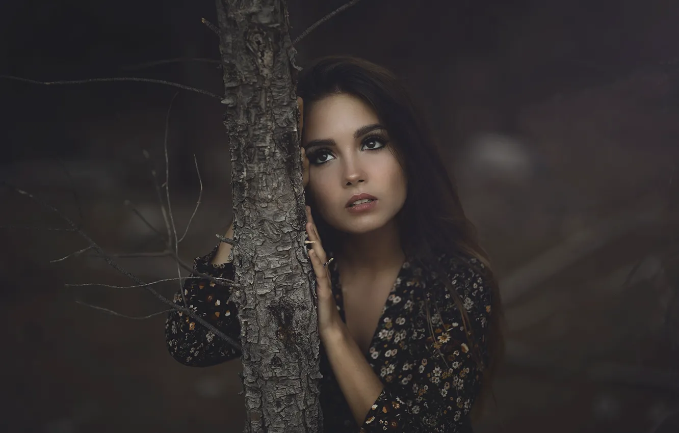 Photo wallpaper forest, girl, trees, darkness, portrait