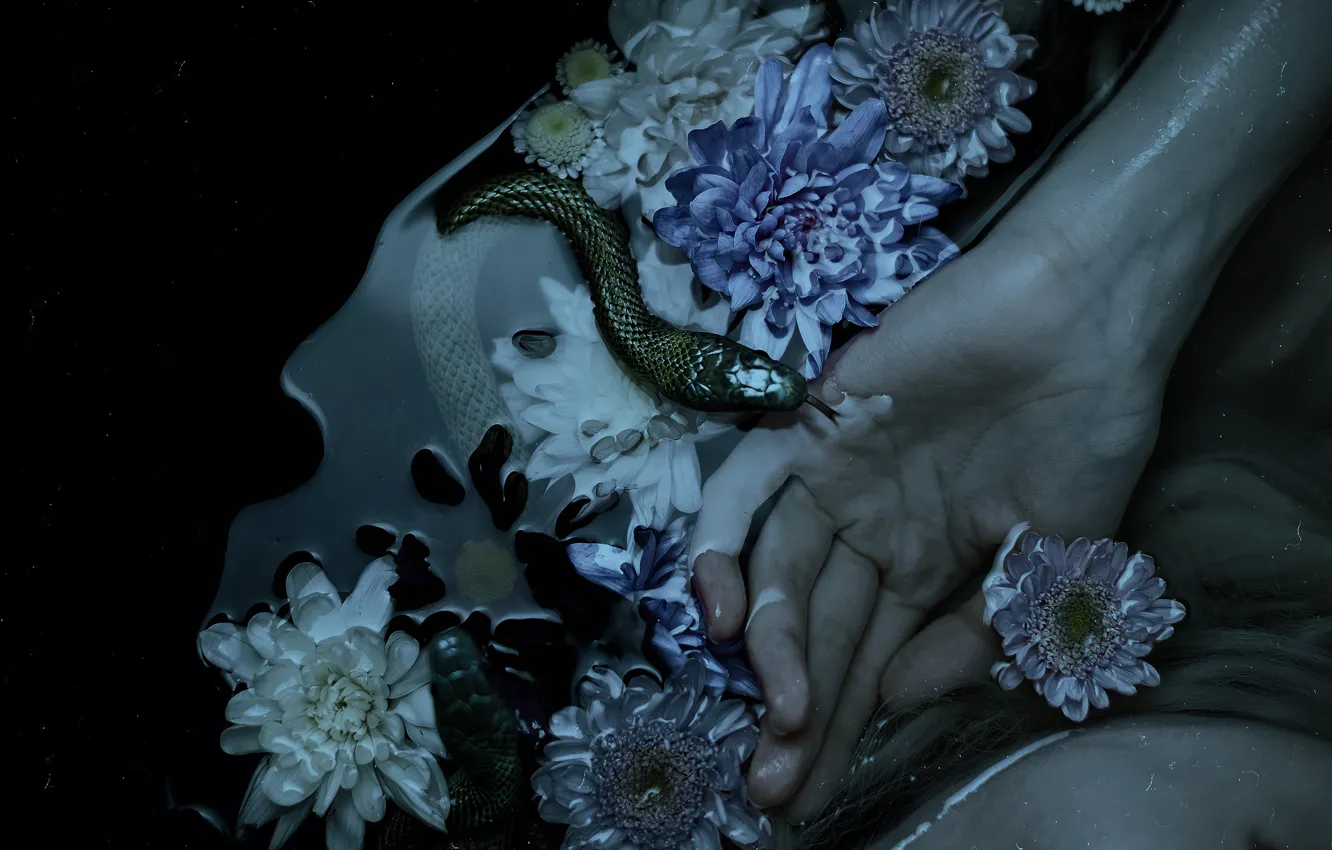 Photo wallpaper water, girl, flowers, the dark background, fear, snake, hands, horror