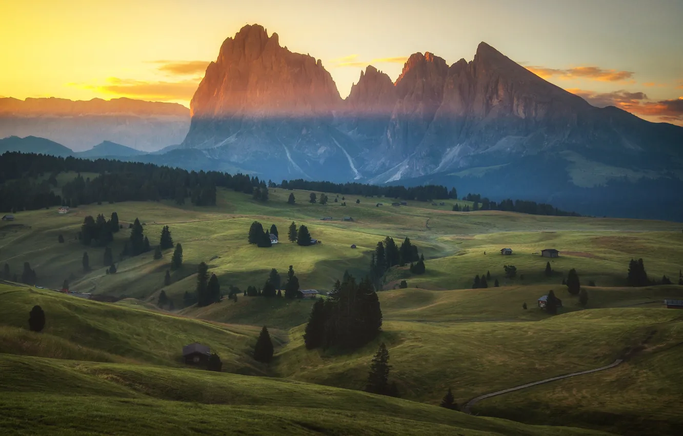 Photo wallpaper field, forest, mountains, Alps, meadow, house