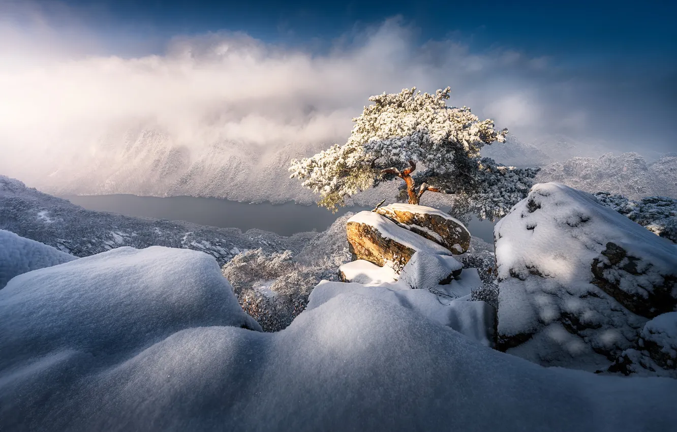 Photo wallpaper winter, clouds, light, snow, trees, mountains, nature, fog