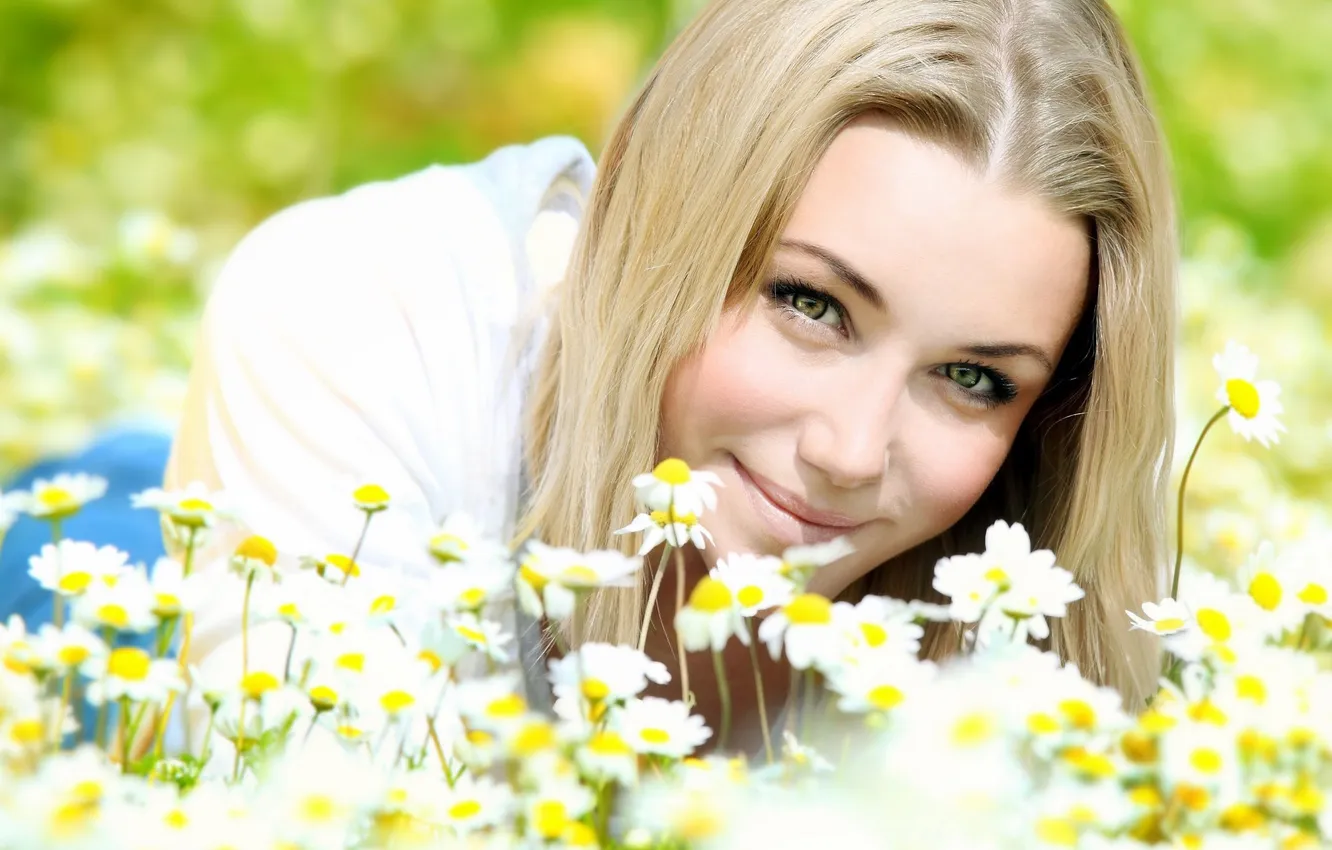 Photo wallpaper look, mood, glade, chamomile, blonde, white