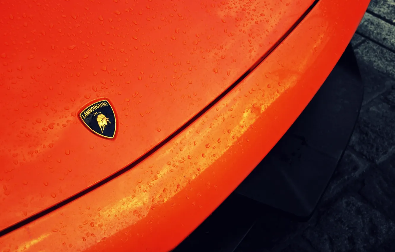 Photo wallpaper auto, orange, the hood, supercar, Superleggera, Lamborghini, Lambo, Lamborghini