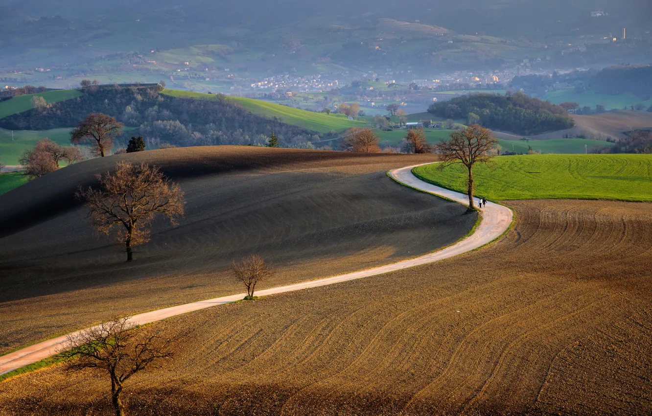 Photo wallpaper road, field, landscape, nature