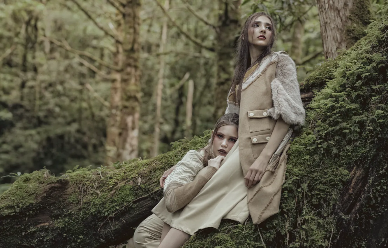 Photo wallpaper forest, trees, style, moss, two girls