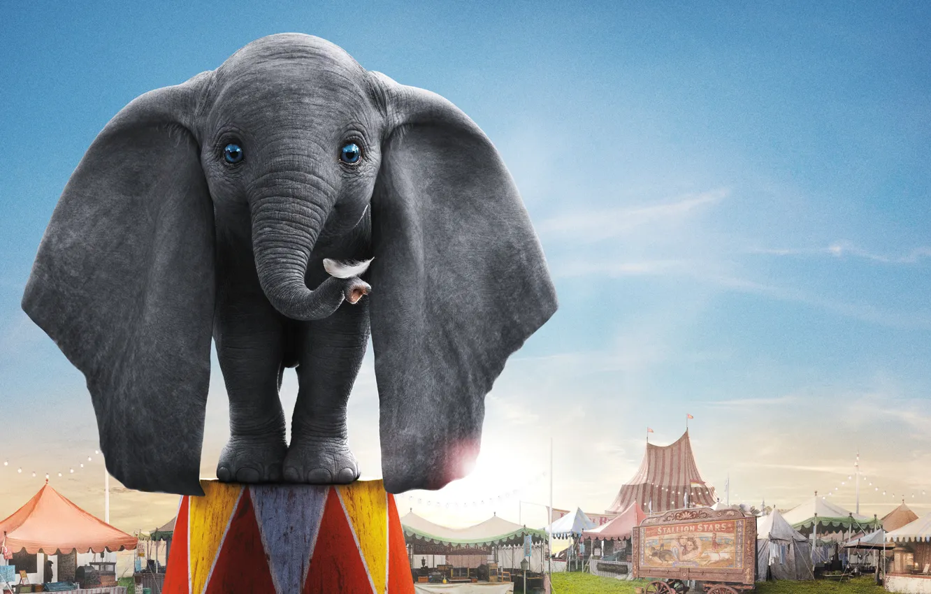 Photo wallpaper eyes, elephant, circus, ears, trunk, elephant, Dumbo, Dumbo