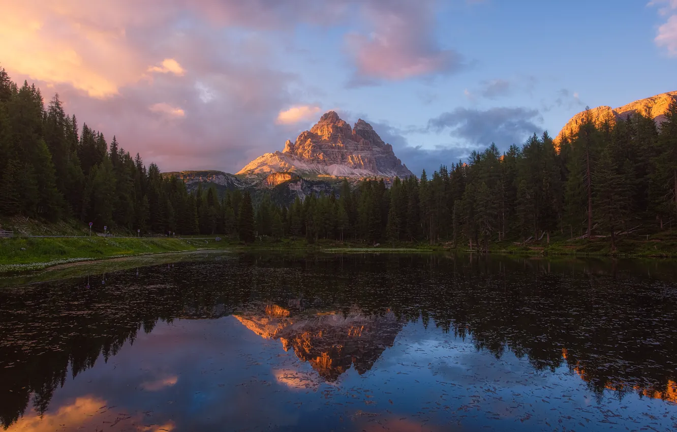 Photo wallpaper forest, mountains, lake, shore