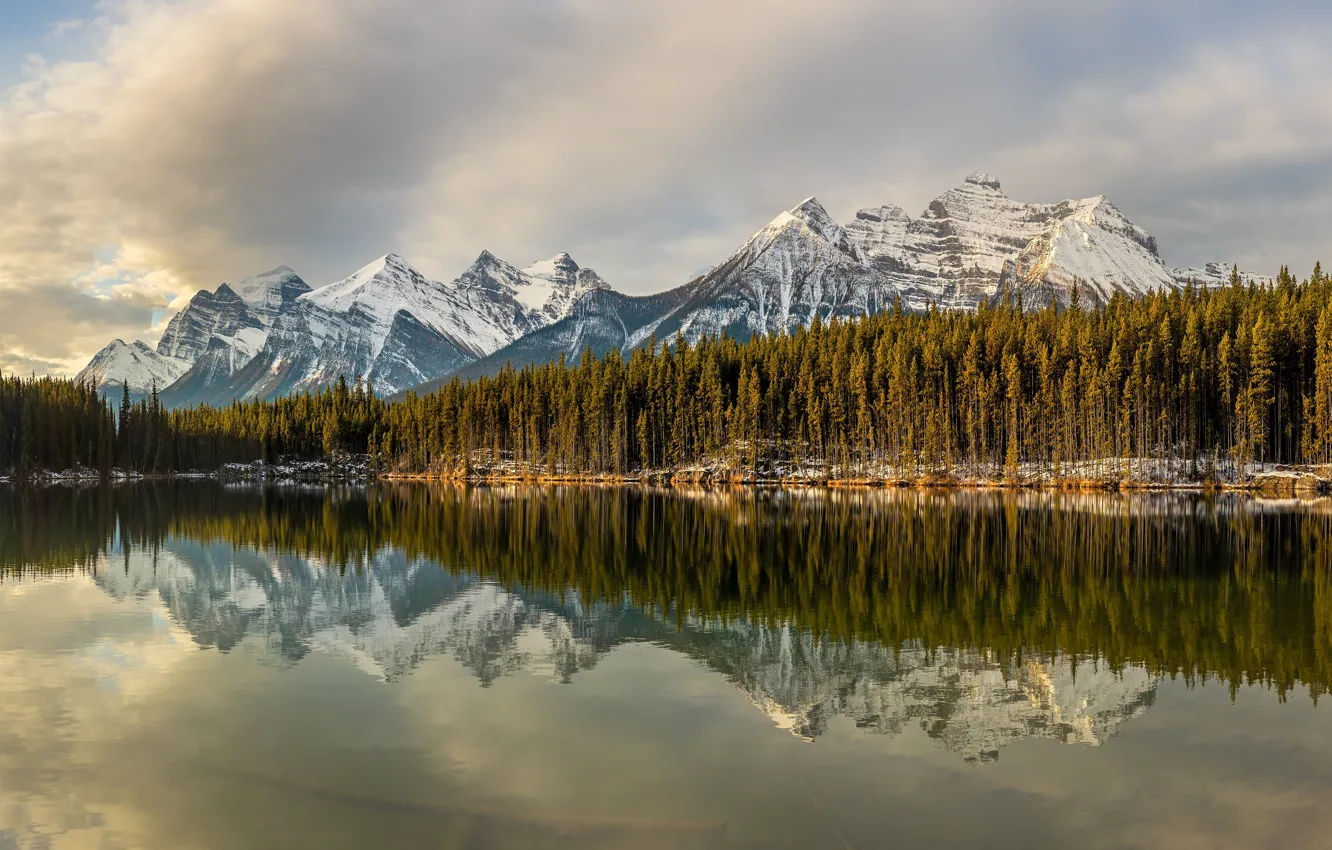Photo wallpaper forest, mountains, lake, reflection, tops, Canada, pond, Banff