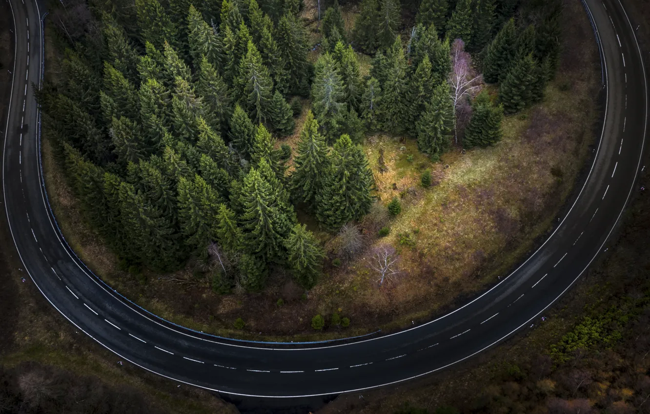 Photo wallpaper road, trees, landscape, nature, ate, spruce forest