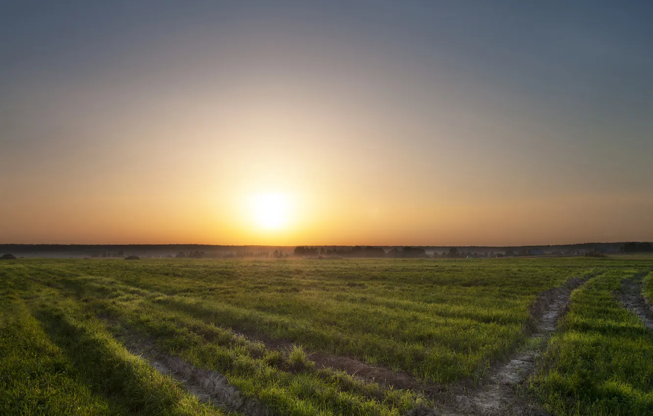 Photo wallpaper field, the sky, grass, trees, sunset, traces, village