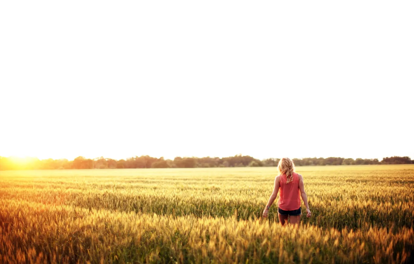 Photo wallpaper field, summer, girl, the sun, mood