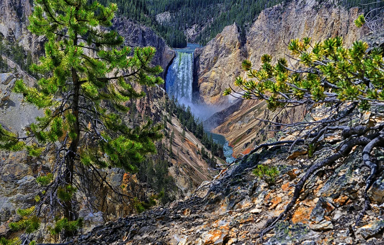 Photo wallpaper trees, river, rocks, waterfall, Wyoming, USA, Yellowstone