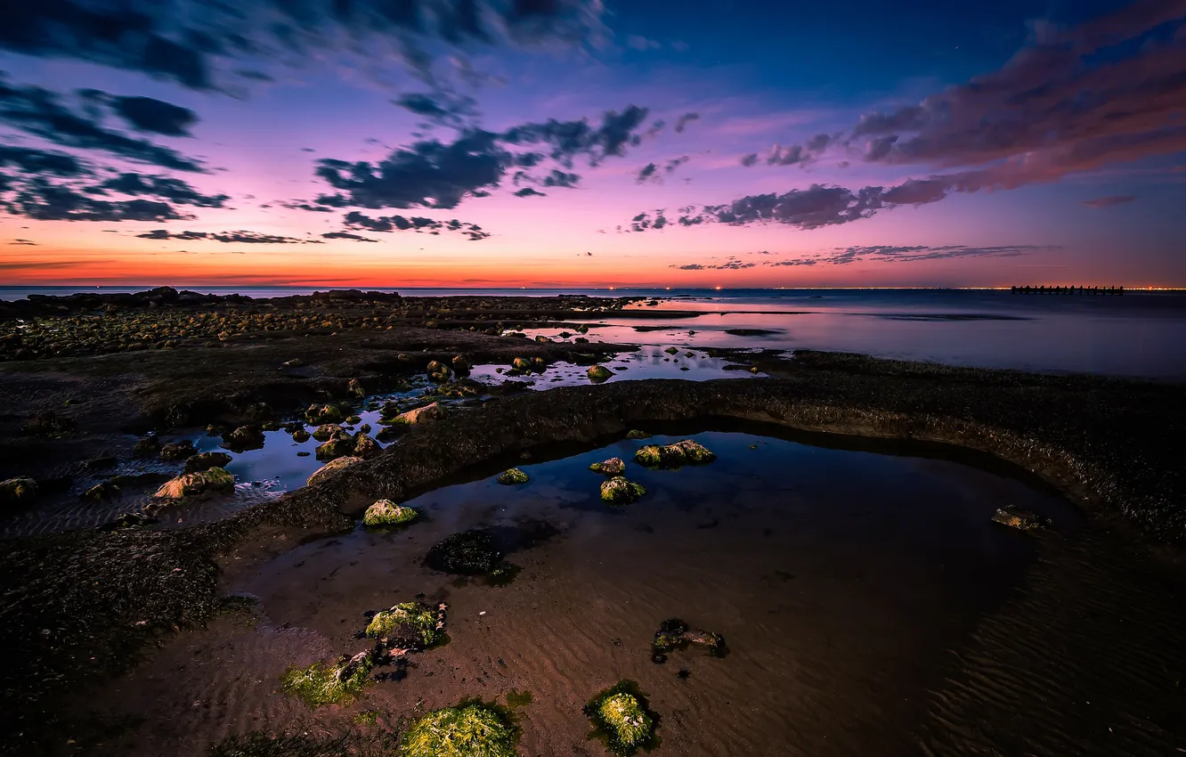 Photo wallpaper algae, stones, Bay, sunset. twilight